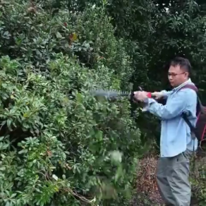 REAIM Mesin Potong Dahan Cordless Hedge Trimmer Pemangkas Ranting Bunga Taman Alat Potong Pagar Tanaman