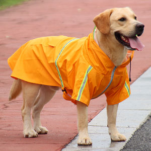 Dog Raincoat Durbin Golden Retriever Labrador Poncho Medium Large Dog Husky Rainy Days Waterproof Pet Dog Clothes