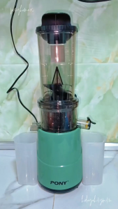 PONY 1000ML Slow Juicer Juice Extractor Machine Pulp Separation Fruit Vegetable Juicer with MY 3 Pin Plug