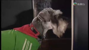 ADD ON Drama 2009 港剧加购 非单卖商品 Cantonese 粤语 老婆大人2 宫心计 绝代商骄 蔡锷与小凤仙 富贵门 烈火雄心 巾幗梟雄 巴不得爸爸