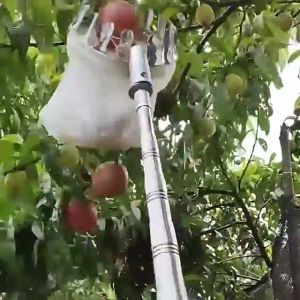 Jaring Pemetik Buah Net Fruit Picker Collection Head 20cm