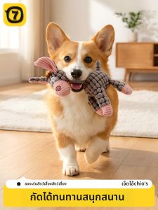 7o | Sounding Durable Self Entertaining Pet Toy