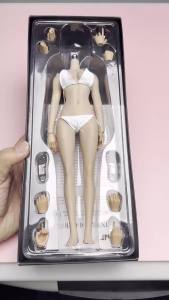 ANT T303 1/6 Scale Female Slender Seamless Body 12 Makeup Non Detachable Feet Slim Action Figure Pale Normal Suntan Body Model