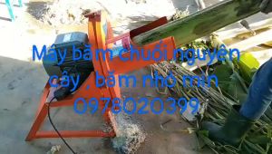 Máy băm chuối một lần sử dụng điện 220v