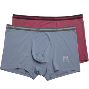 Jianjiang New Arrival Men Underwear Modal Fabric Mid-Waist Elastic Grinding Youth Fashion Minimalist Boxers Breathable