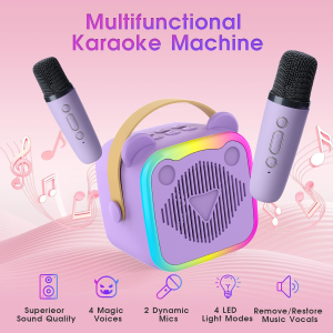 Portable Bluetooth speaker system with microphone HIFI surround high and low frequencies used for parties/karaoke/gifts