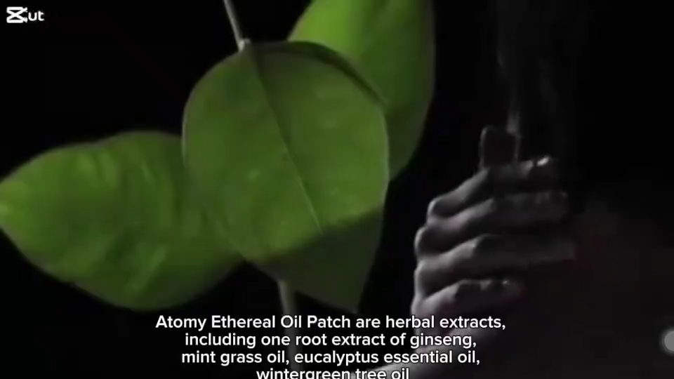 【Ready stock】Atomy Ethereal Oil Patch | Natural Herbal Essential Oil Muscle Relief Wellness Patch 55 Patches