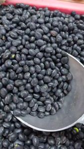 ถั่วดำ (เม็ดสีเขียว) black bean น้ำหนัก500กรัม และ 1กิโลกรัม ถั่วดำดิบคุณภาพดี