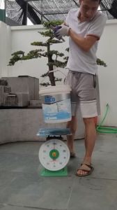 Cước câu cá Song ngư BABU 100m công nghệ Double Mono Combine