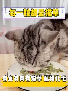Pet cat snacks cat grass tablets ready-to-eat hair removal tablets catnip biscuits teeth cleaning and weight gain supplies