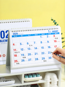DISCO BEAR | Creative Minimalist Business Calendar 2026