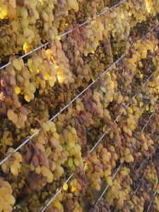 Natural Large Variety Grape Dried Fruits without Additives 500g Traditional Sun-Dried from Turpan Xinjiang Snacks Nuts Specialties