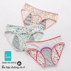 Bộ 3 Quần Lót Nữ Chống Thấm Cạp Trung Thoải Mái Họa Tiết Hoa Dành Cho Kỳ Kinh Nguyệt Bảo Vệ Vùng Kín Cho Nữ Giới