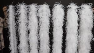 6 10Ply Fluffy Ostrich Feather Boa Natural Ostrich Plumage Scarf Trim for Shawl Decoration Carnival Clothes Accessory Crafts 2M