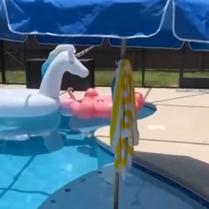 Beach Umbrella Hanging Hook 4-prongs Plastic Umbrella Hook Hanging For Towels/Hats/Clothes/Camera/Sunglasses/Bags-Accessories