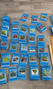 Hạt Giống Cây Sương Sáo Thạch Đen Platostoma | 20 Hạt - Hàng Công Ty