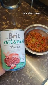 All Stages Adult Puppy 400g Brit Pate and Meat Dog Food Grain Free Can Dog Essentials