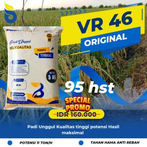 Benih Bibit padi VR46 Vellos Benih Berkualitas Tinggi Kemasan 5kg