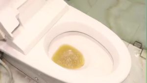 [ SỈ 10 GÓI ] Men xử lý bể phốt BIO1 gói 200g Khử mùi hôi  tiêu bồn cầu chống tắc nghẽn - Không hiệu quả hoàn tiền