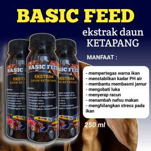 ekstrak daun ketapang 250ml | daun ketapang laut olahan