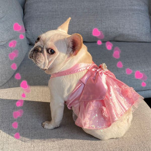 Princess Style Lace Halter Dress for Dogs Summer Pet Clothing Bichon Frise Bulldog Clothes Adorable Princess Skirt for Pets