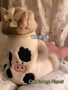 Thickened Warm Pet Clothes for Cats And Dogs Golden Retriever Siamese Bichon Yorkshire Terrier Winter Vest Daily Use