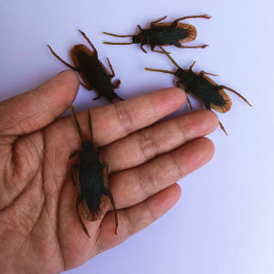 แมลงสาบปลอม ของเล่นตลก แมลงสาบจำลอง อุปกรณ์ประกอบฉาก แมลงน่ากลัว แมลงพลาสติกเหมือนจริง ของตกแต่งปาร์ตี้ฮาโลวีน ของเล่นแกล้งเพื่อน