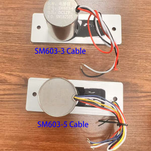 DC 12V Mini Electric Bolt Lock Fail Safe Waterproof Concealed Electric Door Lock 3/5 Wires Feedback Lock Outdoor time delay