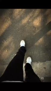 Quần bò jean nam dài xanh trơn co giãn nhiều màu đen xanh xám khói chuẩn form ống bó nhẹ giá tốt KAYSTORE 25/06