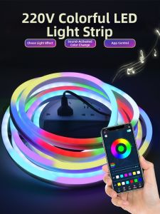 YUANMUXUAN | RGB Color Changing LED Light Strip 220V