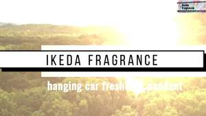 ikeda  Fragrance Automobile Air Freshener 2  Pieces  4  ML Car Fragrance 45  Keep the Fragrance in the Sky  Car Hanging Diffuser Bottles  Remove Car Odor Lasting Fresh Air Home Deodorant ( Glass  Cerise 2)