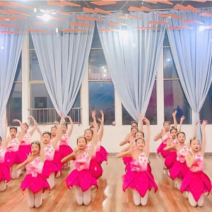 Magnolia Blossoms Dancing Dress Yuyi Yulanxiang Childrens Costume Female Peach Blossom Blossoming Tulle Tutu Skirt Performance Wear