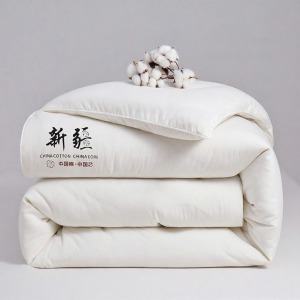 NAIYOUCHENG | Warm Thick Cotton Quilt Single Student Dormitory