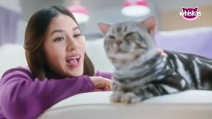 Whiskas Dry Food Makanan Kucing Kering 1.1kg - 1.2kg