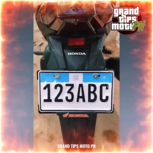 Stainless Back Plate Protector for Motorcycles【Local spot】COD（Only Backplate Protector）