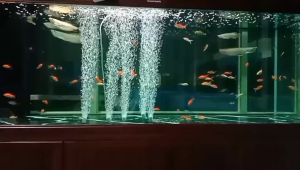 Rechargeable Oxygen Pump Fish Tank Aquarium Ultra-Quiet Ac Dc Dual-Use Aeration Pump Outdoors