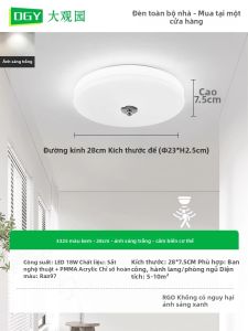 DGY | Đèn Trần Phong Cách Bầu Dục Bắc Âu Đơn Giản Hiện Đại
