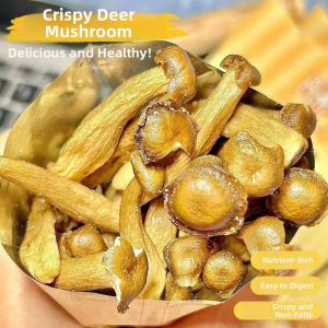 Edible Mushrooms Snack Mix
