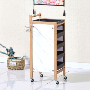 Stylish Hairdressing Wagon Beauty Salon Tool Cart Hair Dyeing And Perming Small Hand Wagon Special Hair Cutting Popular Store Tools Cabinet