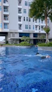 SYB BP BIBIT BODY WASH dengan ARBUTIN Susu Pepaya & KOJIC ACID