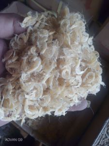 UDANG HALUS MEDAN/EBI TAWAR MANIS /500gram