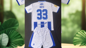 Jersey setelan sepakbola Persib Bandung anak/remaja terbaru 2025/2016 sublime / Printing / HAYE
