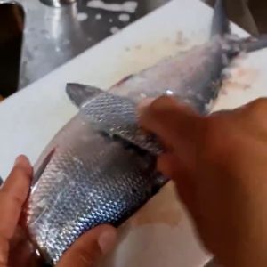 Fish Scale Remover Fast Cleaning