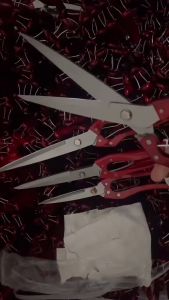 Gunting Cukur Manual Bulu Hewan: Panduan Lengkap