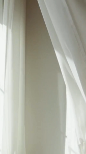 Rod Pocket/Non-Ring Top Venucia Lace Curtain / Sheer for Indoor Windows 6/7/8/9/10 feet Length & 4.4 feet Width