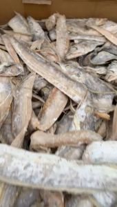 Ikan Asin Layur Bulat Kering: Panduan Lengkap