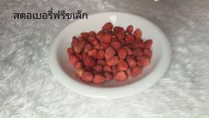 สตรอว์เบอร์รี่ ฟรีซดราย ลูกเล็ก (Freeze Dried Strawberry) หวาน กรอบ อร่อย เคี้ยวเพลิน มีประโยชน์