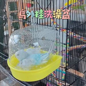 เพิ่มให้อาบในห้องน้ำ ที่อาบสวยความ 13x13x13.5 บริษัท เลิฟเบิร์ด นกแก้ว ฟอพัส หงส์หยก, นกฟินซ์