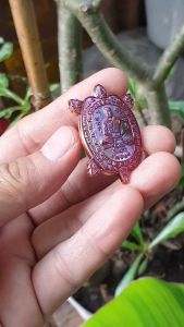 💥รับประกันแท้ เหรียญ รุ่น พญาเต่าเรือนรุ่นแรก หลวงพ่อสว่าง ปัญญาทีโป วัดบ้านหนองจิก ปี 2563 เนื้อทองแดงมันปู พระแท้ราคาถูก น่าเก็บ