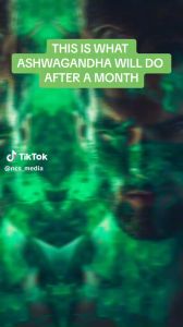 KAPSUL ASHWAGANDHA DR NORMAN 500MG - 100% EKSTRAK TULEN KURANGKAN STRESS & TINGKATKAN TENAGA. HALAL